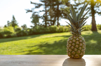 Close-up of fruits on table