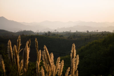 Scenic view of mountains