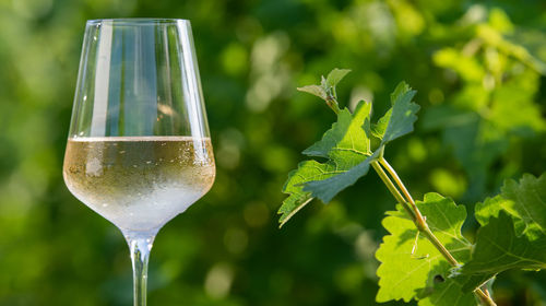 Close-up of drink on glass