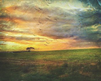 Scenic view of landscape at sunset