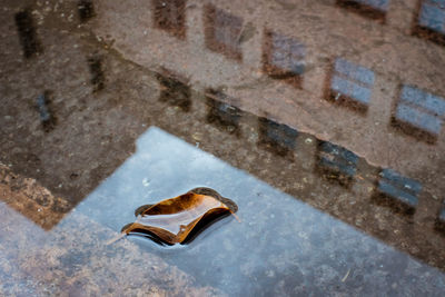 High angle view of wet puddle