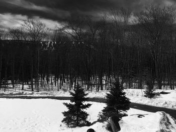 Scenic view of snow covered landscape