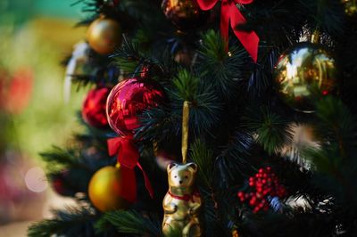 Close-up of red christmas tree