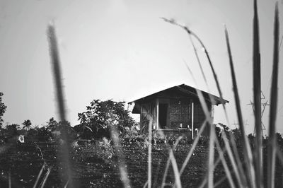 Trees by built structure against sky