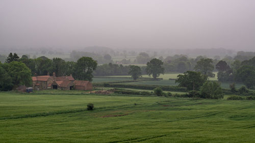 Scenic view of trees on field against sky