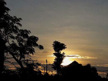 Silhouette trees against sky during sunset