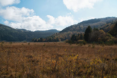 Scenic view of landscape against sky