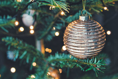 Close-up of illuminated christmas tree at night