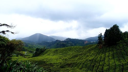 Scenic view of landscape against sky