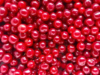 Full frame shot of red berries