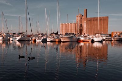 Sailboats in marina