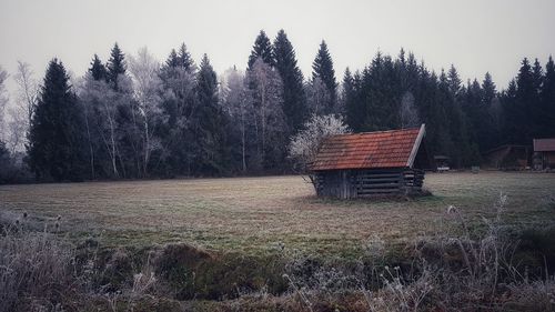 House on field against trees