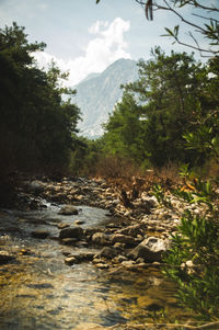 nature