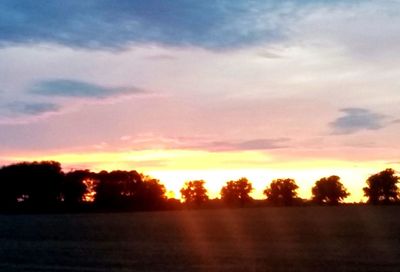 Silhouette trees on field against sky during sunset