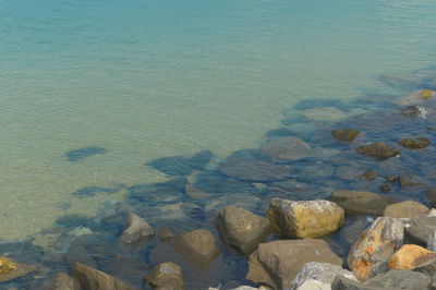Scenic view of sea