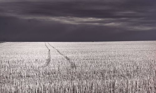 Scenic view of field against cloudy sky