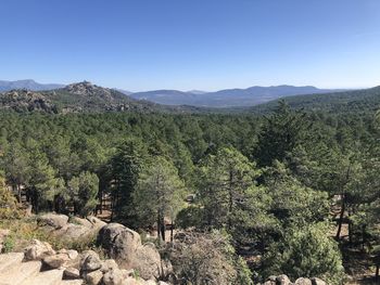 Scenic view of landscape against clear sky