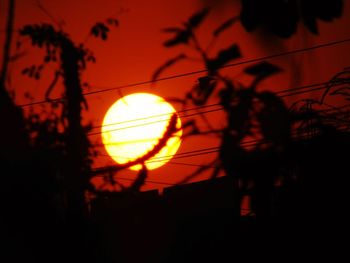 Silhouette trees against orange sky during sunset