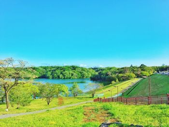 Scenic view of grassy field against blue sky