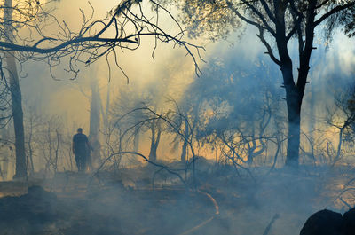 Firefighters amidst smoke at forest