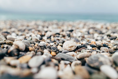 Close-up of stones on beach