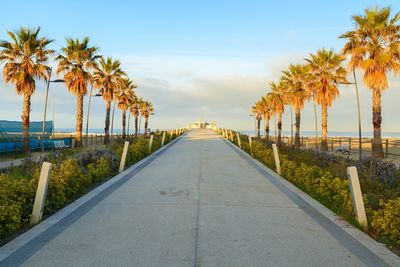 Road amidst palm trees against sky