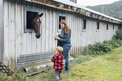 Woman with grandson holding grass looking at horse in stable