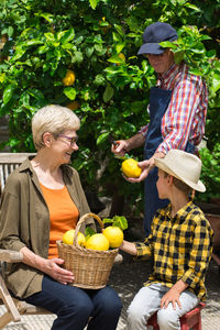 Senior farmers, grandparents with young boy, grandson harvesting lemons from the lemon tree