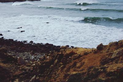 Scenic view of sea shore