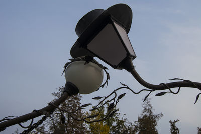 Low angle view of bird perching on tree against sky