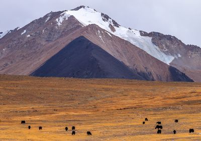 Scenic view of mountain range against sky