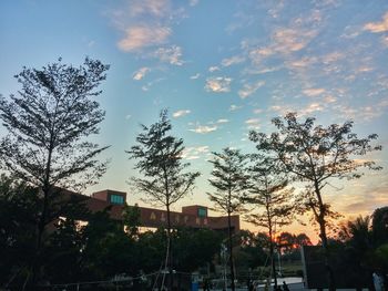 Low angle view of silhouette trees against sky at sunset