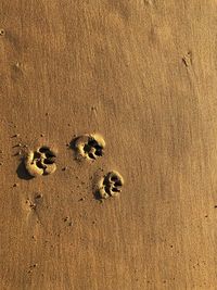 High angle view of footprints on sand