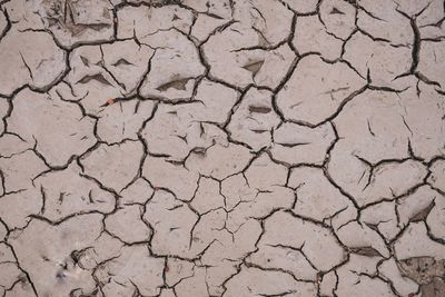 Full frame shot of cracked field