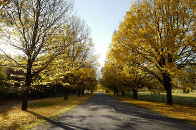 Road amidst trees against sky during autumn