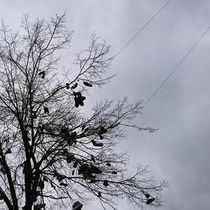 Low angle view of bird flying against sky