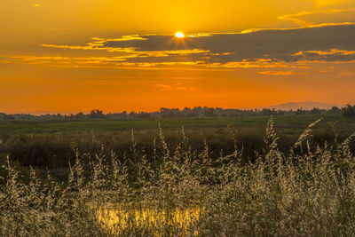 Scenic view of field against sky during sunset