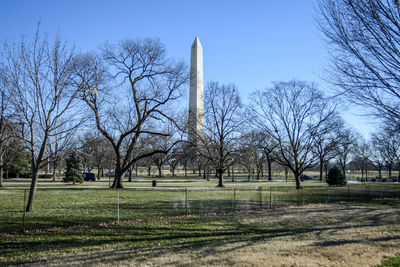 Bare trees on field against clear sky