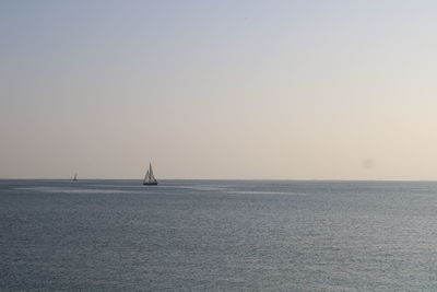 Sailboat sailing on sea against clear sky