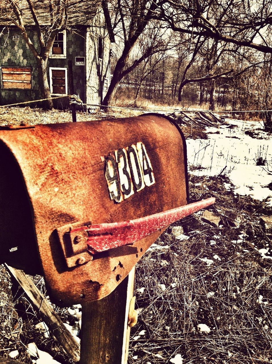 text, western script, communication, tree, bare tree, wood - material, information sign, winter, sign, built structure, warning sign, snow, season, building exterior, abandoned, day, cold temperature, capital letter, outdoors, no people