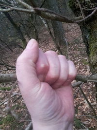 Close-up of man hand on tree trunk in forest