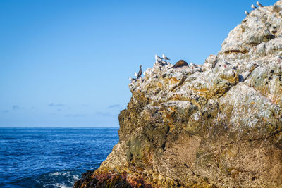 Rock formations by sea against blue sky