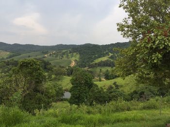 Scenic view of green landscape against sky