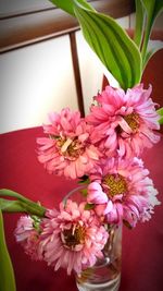 Close-up of pink flowers