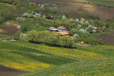 High angle view of houses on field