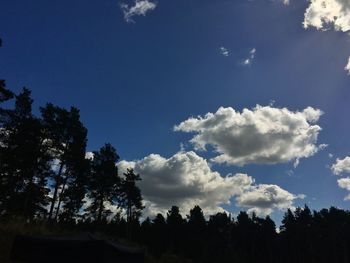 Low angle view of trees against sky