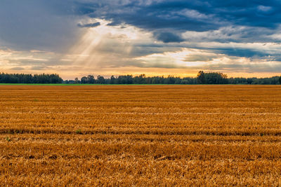 Scenic view of field against sky during sunset