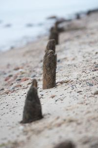 Close-up of sand on beach