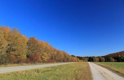 Road by trees against clear blue sky