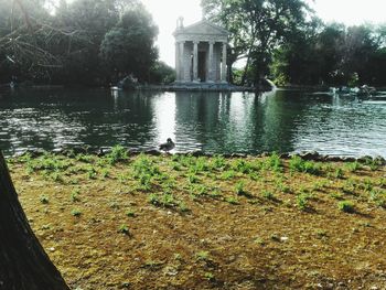 View of birds in lake